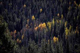 uintahs 10-5-19 (1 of 7)