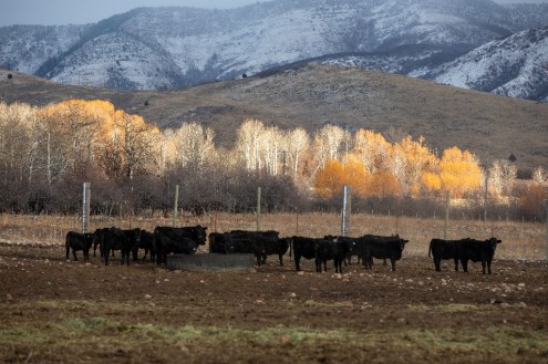 Bar b 11-26-19 (6 of 6)-1